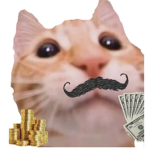 Cats love money