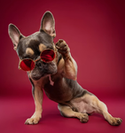 Aria’s error