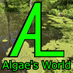 Algae's World