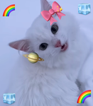 •ѕυηѕнιηє•