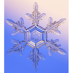Snowflake Fashion Store (WIP)