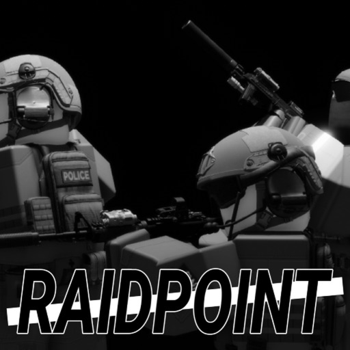 RAIDPOINT