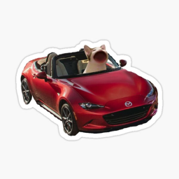 Pop cat hangout