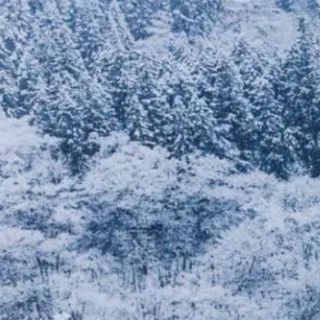 ❄