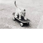 Tony Hawk Skateboarder Fan