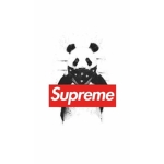 Official supreme bros