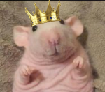 Clan Rattalia