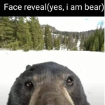 trol roleplay