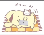 Myyyy cat
