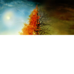 Umbral Brilliance