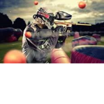 Classic Paintball Players