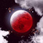 Tripulantes Red ocean
