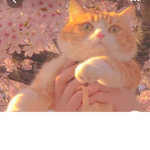 Los amigos por uwu