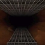 Only the Death of Us