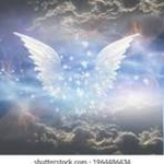 * + * LOVELY ANGELS * + *