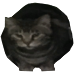 gato