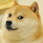 The Dog of Roblox