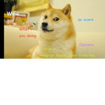 Doge battle cry