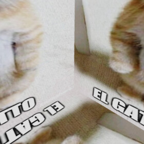 ESCAPE AY MI GATITO FOR ADMIN! 🎵