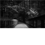 DARKdays
