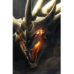 Dragon Protector