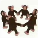 The Happy Monkey Circle Fan Club