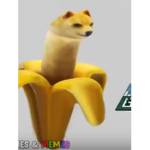 Weird Thingy