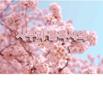 Sakura bloxie