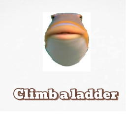 climb a ladder
