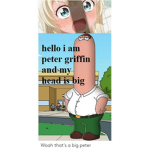 hit or mis