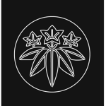 Minamotø Clan (源)