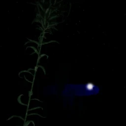 underwater game 'Laminaria Zone'  icon