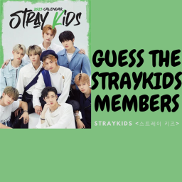 GUESS THE STRAY KIDS MEMBERS