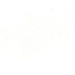 White Screen