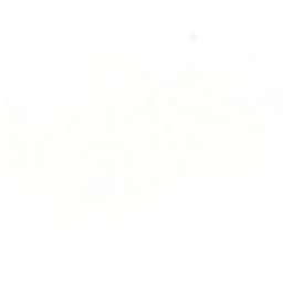 White Screen icon