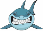 Shark Team's