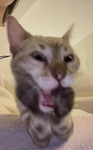 HMUWWHWHWH