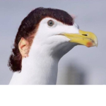 Michael Jackson Seagull Military