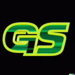 THE GS GROUP