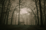 The Hollow Hours