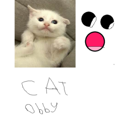 OBBY OBBY OBBY OBBY OBBY OBBY OBBY OBBY OBBY OBBY