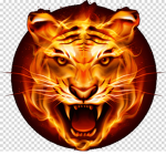 Gaming tiger