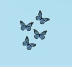 Sadie’s butterfly’s