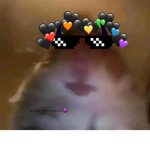 hamster my life