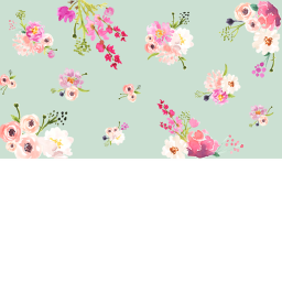spring xon!