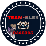 TEAM•BLEX