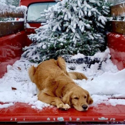 ❄️