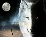The wolf hounds