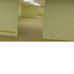 Level 0 backrooms