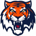 The Tiger Studio